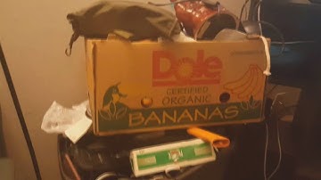 Steam Link Test: Unboxing & Gameplay