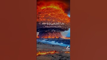 #بسم_الله_الرحمن_الرحيم #آيات #قرآن #ترند #اكسبلور #لايك #دويتو #راحة_نفسية #حالات_واتس