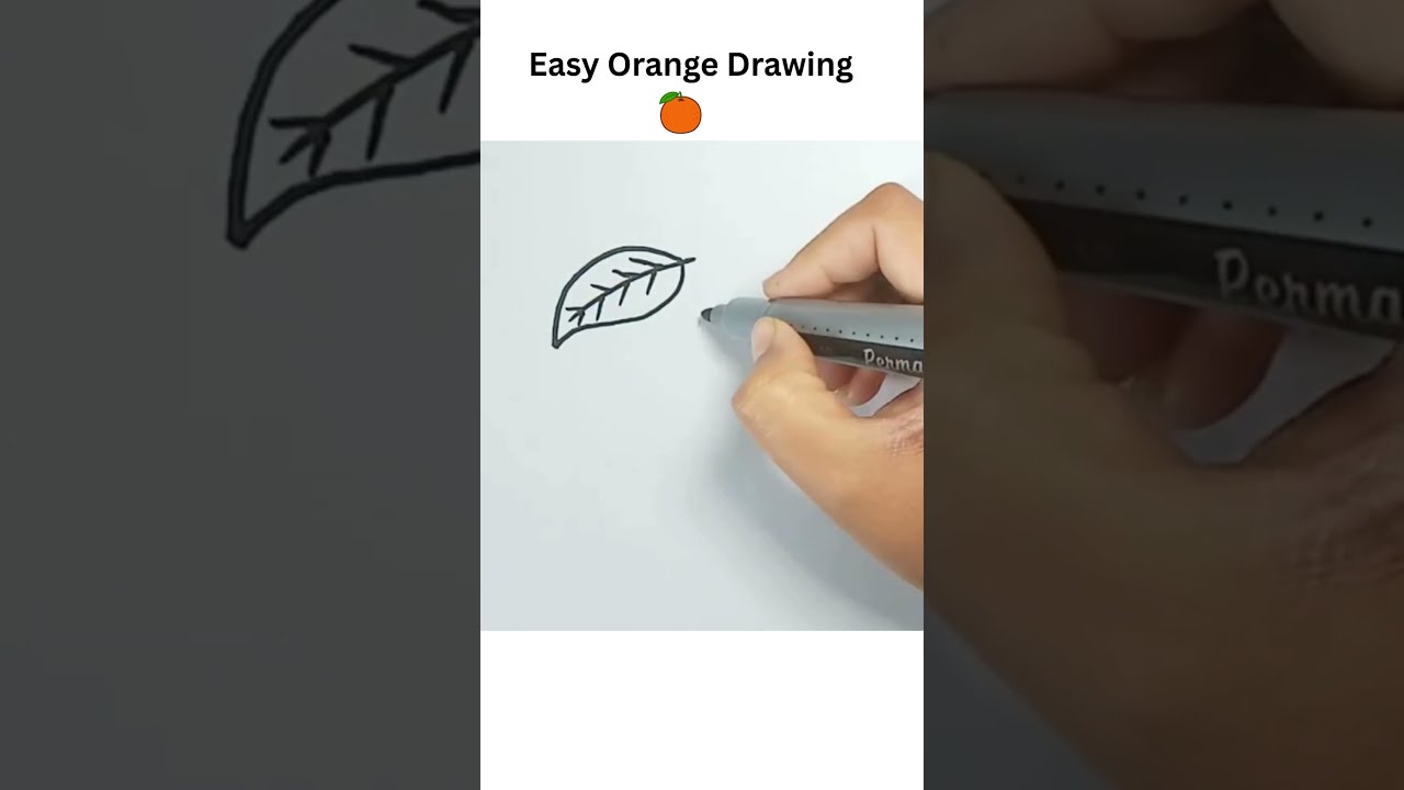 Easy Drawing Ideas For kids | Orange Fruit Outline 🍊