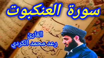 سورة العنكبوت - القارئ رعد محمد الكردي