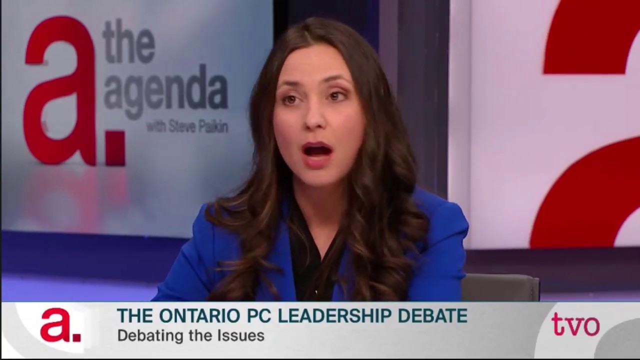 Ontario PC Leadership Candidate: School Children Are Too Distracted By 'Anal  Sex' To Focus On Math