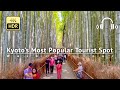 Most Popular Tourist Spot in Kyoto: Arashiyama 2023 Walking Tour - Japan [4K/HDR/Binaural]
