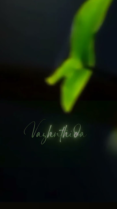 Poo nee poo song lyrics |Anirudh 🎶