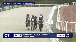 Vidéo de la course PMU BE 2321 C: WATHBA STALLIONS CUP 6: 