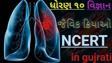 std 10 science chapter 6|| જૈવિક ક્રિયાઓ|| ધોરણ ૧૦ પ્રકરણ ૬|| NCERT||ભાગ ૧|| JEE NEET || in gujrati