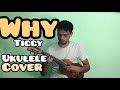 WHY-TIGGY |UKULELE COVER| JOHN PAUL GUINITARAN