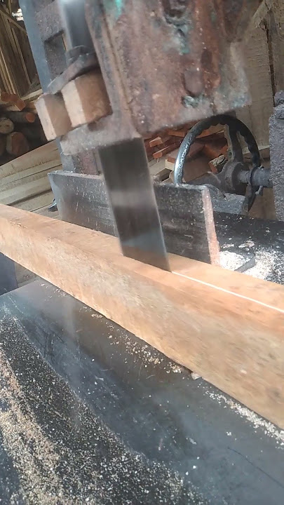 TAJAMNYS GERGSJI RSHANG KAYU SUREN  PART 1998 OO.#SHORTS