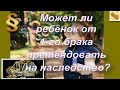 Может ли ребёнок от первого брака претендовать на наследство? Юрист разъясняет нюансы.