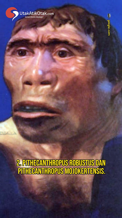 5 Manusia Purba yang Ditemukan di Indonesia #shorts #manusiapurba #indonesia #islamicvideo