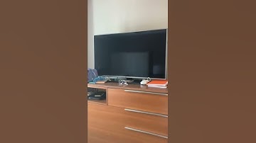 2018 LG OLED TV Startup and Shutdown Sound
