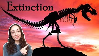 Do All Mass Extinction Events have a Common Cause? | GEO GIRL