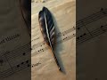 Origins of Music: Chiara Margarita Cozzolani