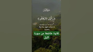 قران كريم تلاوة خاشعة من سـورة الليل #قران_كريم #قرآن