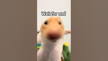 Franco unstoppable hacking hook 🪝 game paly 🎯 #francohook #franco #mlbbshorts #hook #fypシ #mlbb #mlb