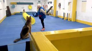KRRs Training - Beginners Agility - Benson