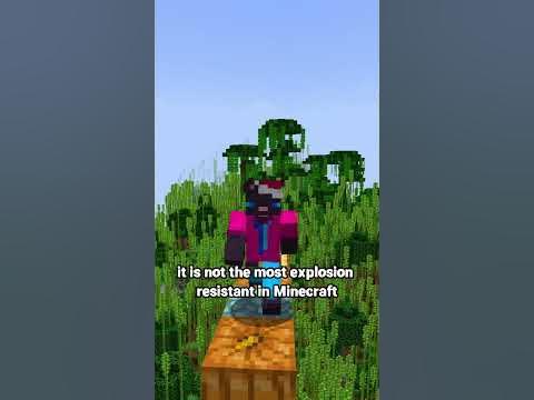 Which block in Minecraft is the most blast resistant? #minecraft - YouTube