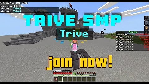 I made a Minecraft Server!