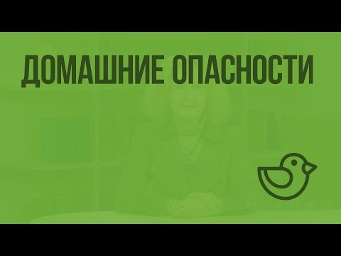 Домашние опасности. Видеоурок по окружающему миру 2  класс