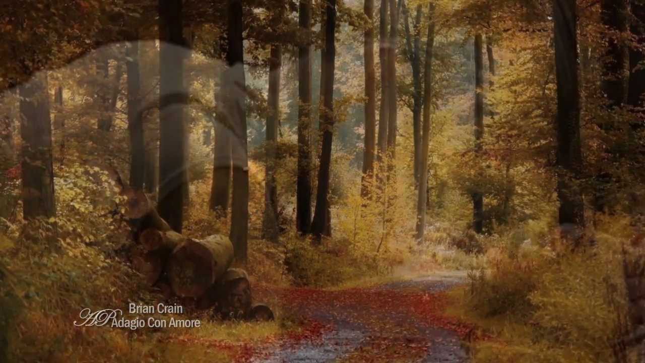 ✿❤✿ BRIAN CRAIN - Adagio Con Amore ✿❤✿ - YouTube