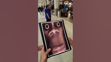 show pictures to random people in Prague #pranks #memes