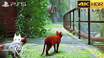Stray (PS5) HDR 4K/60FPS | Cat in Post-Apocalyptic Cyberpunk City