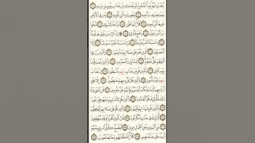 سورة المعارج رقم 4
