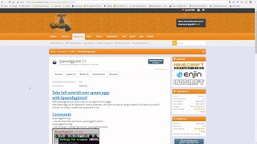 STAFFLIST & SPAWNEGGLIMIT PLUGINS || tutorial [Nederlands/Dutch]