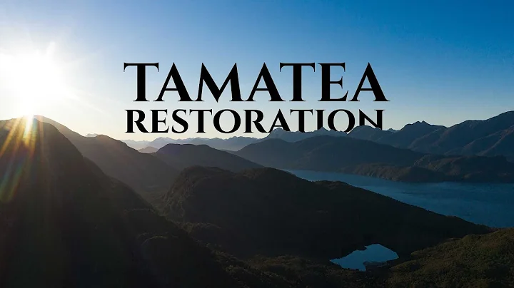 Tamatea Restoration  II