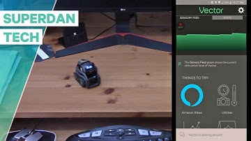Anki Vector | Exploring on typical office desk!
