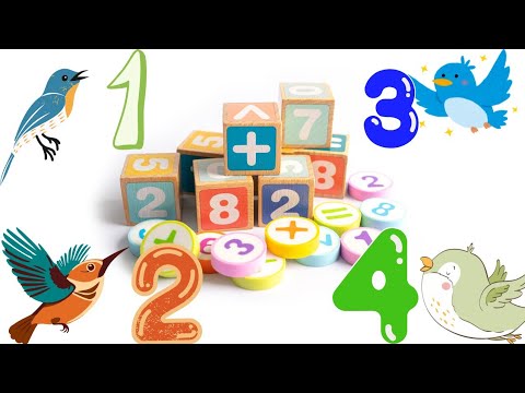 Counting Song For