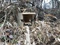 Simple Box Traps  Mink Box