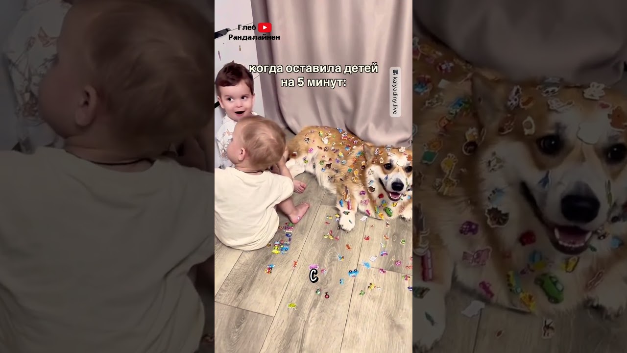 Когда Оставил Детей с Собакой 🙈