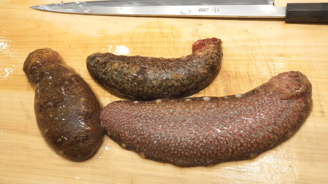 塩もみ、ぬめり取り不要！茶ぶり「なまこ酢」と日本三大珍味「このわた」腸の塩辛の作り方