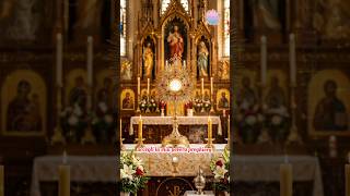 Preghiera al Santissimo Sacramento #gesù 😇 #preghiera