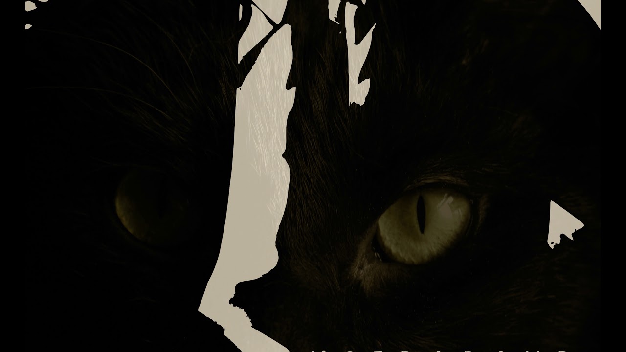 Watch moidaband EP wild cat on YouTube Watch moidaband EP wild cat on YouTube