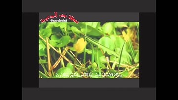 تلاوة خاشعة من أواخر سورة الحشر للشيخ أحمد بن علي العجمي