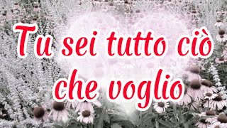 Tu sei tutto ciò che voglio #dedicadamore #seispeciale