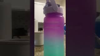 IMG 0263