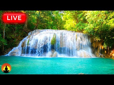 🔴 Relaxing Sleep Music 24/7: Deep Sleep Music, Peaceful Music, Sleep Meditation, Relaxing Music