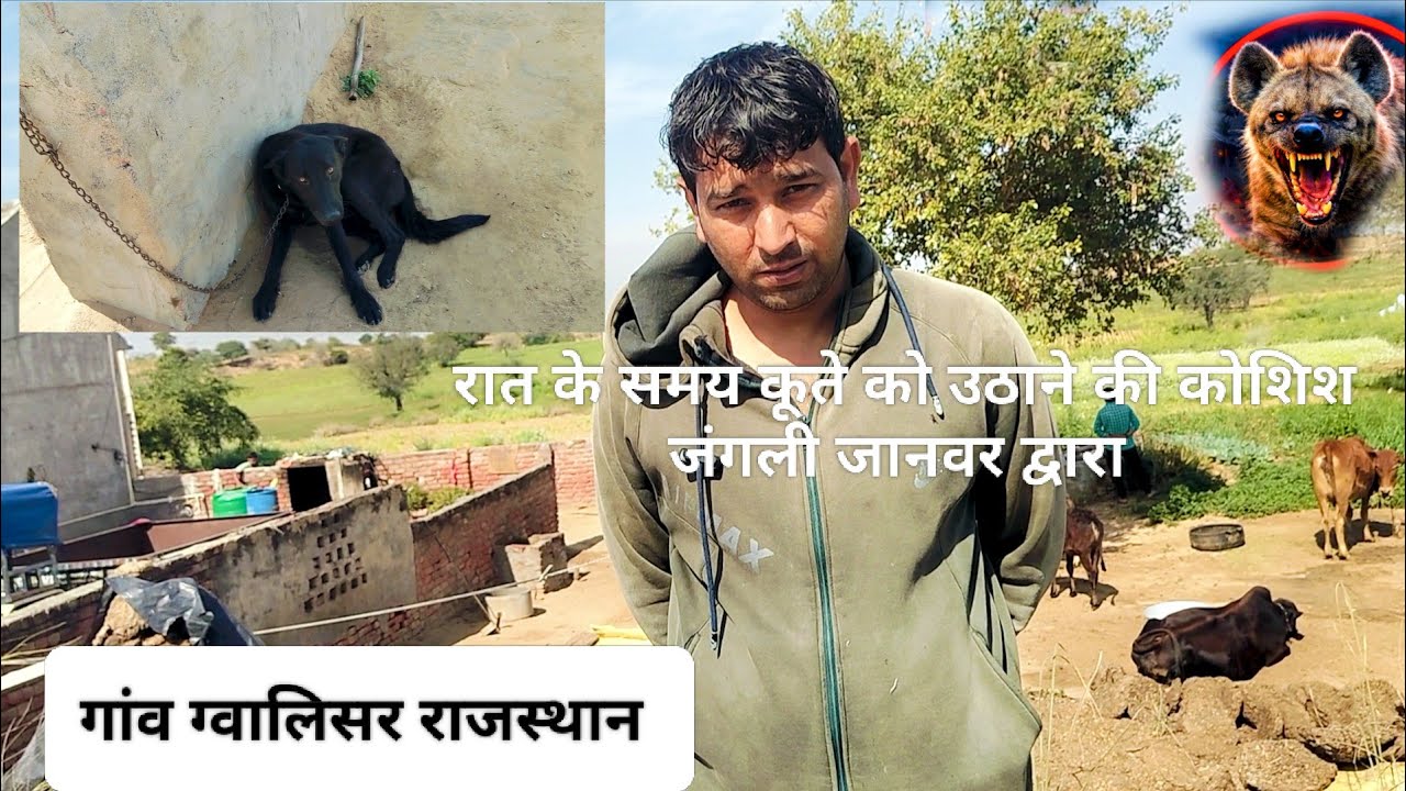 “पूरा गाँव डर के साए में!” गांव ग्वालिसर में मंडरा रहा है खतरा 