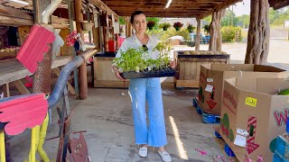 Быстрый Кофе у Друзей | Шопинг из Славянского Маркета | Новая Рассада 🌱 | Семейный Влог Эгине