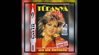 Tüdanya - Aşk Kölesi (Minareci - 1987) Resimi