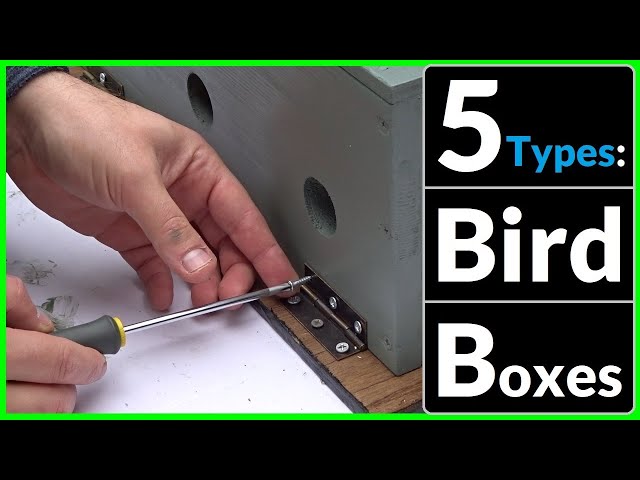 Types Of Bird Boxes Uk Collection Cheapest | www.oceanproperty.co.th
