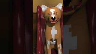 Important Message From Jackson The Space Dog