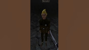 Killing the adoring fan in Morrowind every day until Skywind and Skyblivion are released Day - 661