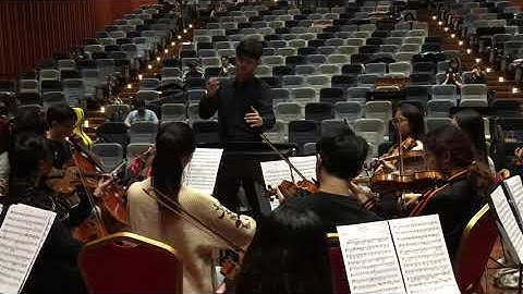 Elgar- The Serenade for strings in E minor, Op.20, 1st Movement