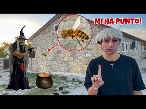 UNA STREGA PAZZA