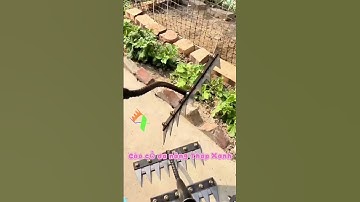 Dây tưới nhỏ giọt, Dây tưới phun mưa, Béc tưới xoay, Hệ thống tưới tự động Tháp Xanh