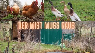 Der Mist muss raus