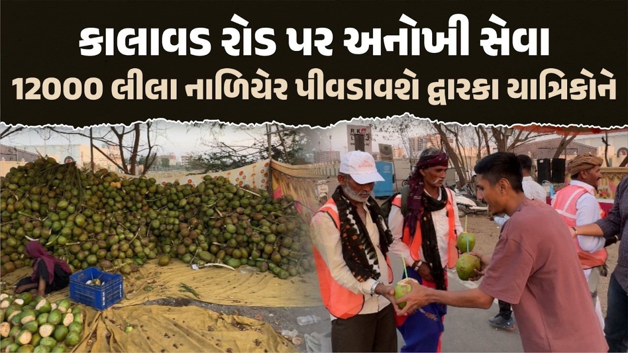 Rajkot Kalawad Road પર પદયાત્રીઓ માટે 12,000 લીલા નાળિયેર સેવા | Dwarka Padyatra 2026 | Our Rajkot